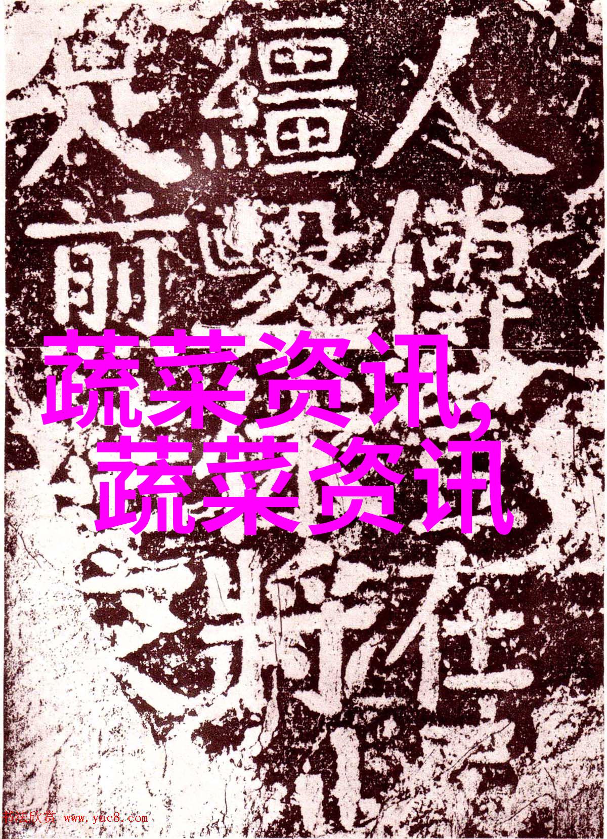 冯河乡发展茭白2000亩