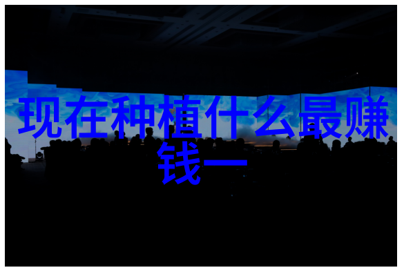 人参果的绵疫病
