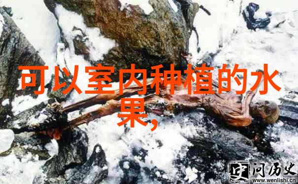 种植花卉大棚一亩估计得投资多少钱
